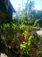 2019-06-23_09-24-23_481.jpg
