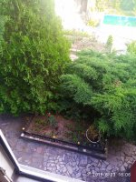 IMG_20190623_180655.jpg