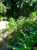 2019-06-24_15-46-07_617.jpg