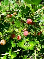 2019-06-24_15-51-47_880.jpg
