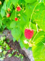 2019-06-24_16-12-03_634.jpg