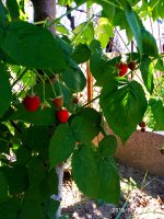 2019-06-24_15-59-41_231.jpg