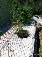 2019-06-24_15-55-38_836.jpg