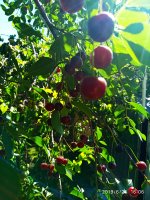 2019-06-25_16-10-48_663.jpg