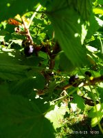 2019-06-25_16-10-14_048.jpg