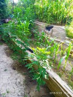 2019-06-25_19-41-16_163.jpg