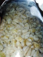 IMG_20190627_154906.jpg