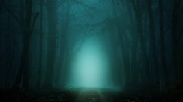 foggy_forest_5k-5120x2880.jpg