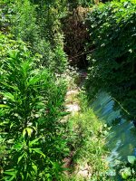 2019-06-28_12-28-44_115.jpg 2019-06-28_12-28-44_115.jpg