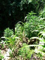 2019-06-28_12-26-19_173.jpg 2019-06-28_12-26-19_173.jpg