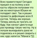 IMG_20190630_161404.JPG