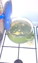 IMG_20190630_155407.jpg