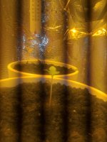 WP_20190701_11_32_11_Pro.jpg