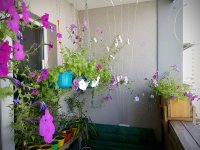 IMG_20190701_094315.jpg