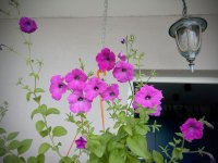 IMG_20190628_100830.jpg