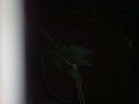 IMG_20190701_221146.jpg