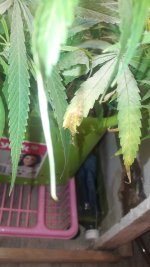 20190702_093311.jpg