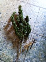 2019-07-02_17-21-23_076.jpg