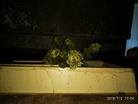 2019-07-02_17-20-20_376.jpg