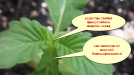 20190702_174633.jpg