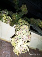 2019-07-04_20-16-02_506.jpg