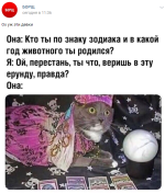 2019-07-04_00002.png