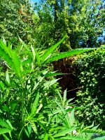 2019-07-05_13-40-53_856.jpg