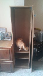 IMG-20190630-WA0002.jpeg IMG-20190630-WA0002.jpeg