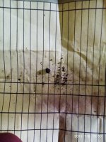 2019-07-06_15-46-37_131.jpg