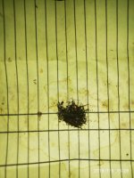 2019-07-06_15-46-53_460.jpg