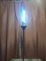20190706_212801.jpg