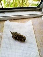 2019-07-07_11-55-33_967.jpg