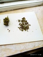 2019-07-07_11-55-17_790.jpg