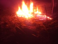 IMG_20190707_003856.jpg