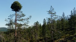 DSC_9635.JPG