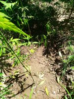 2019-07-10_15-36-57_051.jpg