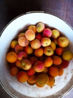 2019-07-10_18-27-15_066.jpg