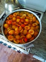 2019-07-10_15-35-14_522.jpg