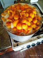 2019-07-10_15-34-56_396.jpg