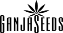 logo-main.png