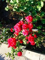 2019-07-11_18-31-34_104.jpg