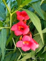 IMG_20190711_182842.jpg