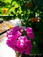 2019-07-11_18-04-09_396.jpg