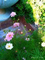 2019-07-11_18-04-01_777.jpg