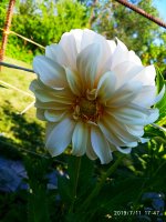 2019-07-11_18-03-45_151.jpg