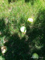 2019-07-12_17-31-23_817.jpg