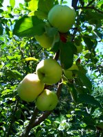 2019-07-12_17-31-14_336.jpg