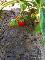 2019-07-12_17-31-04_321.jpg