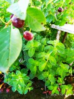 2019-07-12_17-56-36_666.jpg