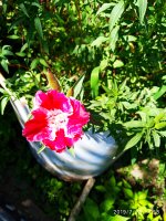 2019-07-12_18-08-55_818.jpg